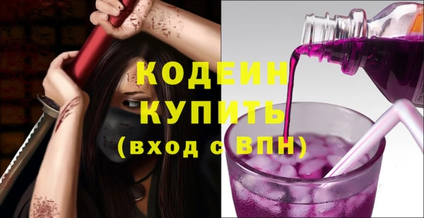 индика Волосово