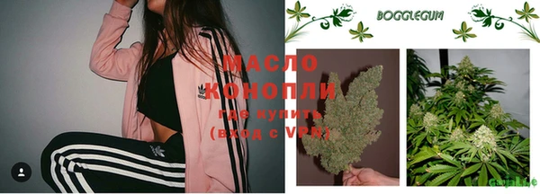 индика Волосово