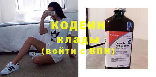 индика Волосово