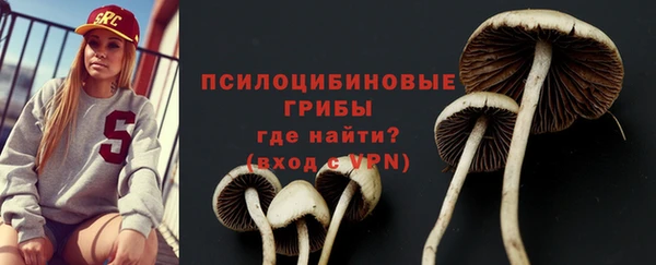 ГАЛЛЮЦИНОГЕННЫЕ ГРИБЫ Бронницы