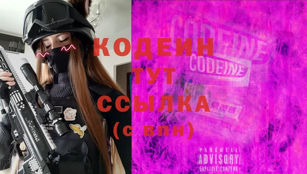 индика Волосово