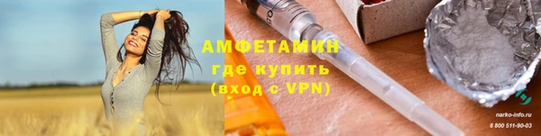 индика Волосово