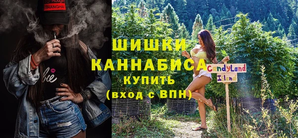 индика Волосово