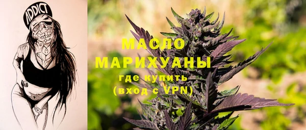 индика Волосово