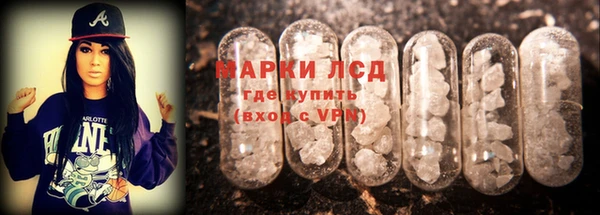 индика Волосово
